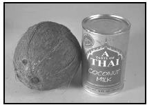 Canned coconut milk, widely available in supermarkets, may be substituted for freshly made coconut milk. Fresh coconut milk should be used immediately, since it loses its flavor even if refrigerated. EPD Photos