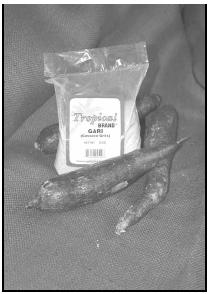 Cassava is a firm root vegetable with a shiny white skin and creamy white flesh. West Africans use it to make flour, called gari. Packaged gari can be purchased in specialty stores worldwide. EPD Photos