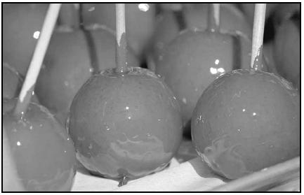 Candied apples—apples on sticks dipped into a sugary red or caramel coating—are a favorite fall treat, and are a common sight at county fairs and fall festivals across the Midwest. Cory Langley